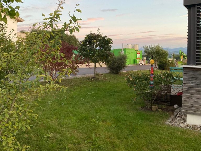 Vorher Bild des Gartens mit Baum- und Sträucherbestand, die zum Teil erhalten werden sollen