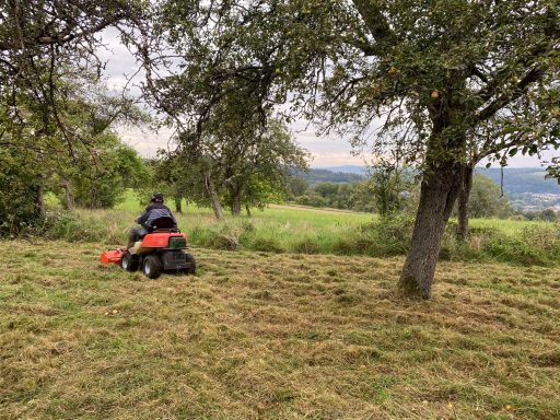 Pflege einer Streuobstwiese mit Mulcher, Anlage von mehrjährigen Blühstreifen mit autochthonem Saatgut für Bienen und andere Insekten