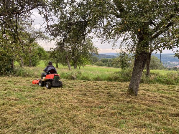 Pflege einer Streuobstwiese mit Mulcher, Anlage von mehrjährigen Blühstreifen mit autochthonem Saatgut für Bienen und andere Insekten